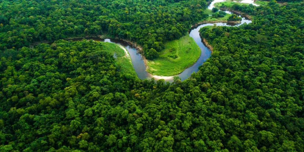 Goa plans green spaces in cities to tackle heat and pollution rise