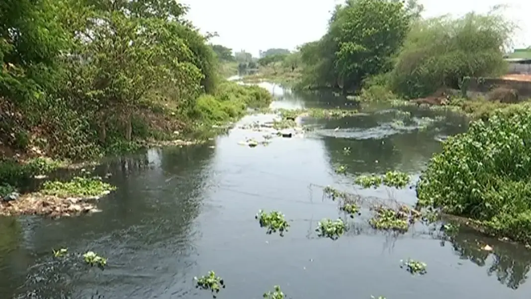 Rivers in Odisha Struggle to Stay Clean