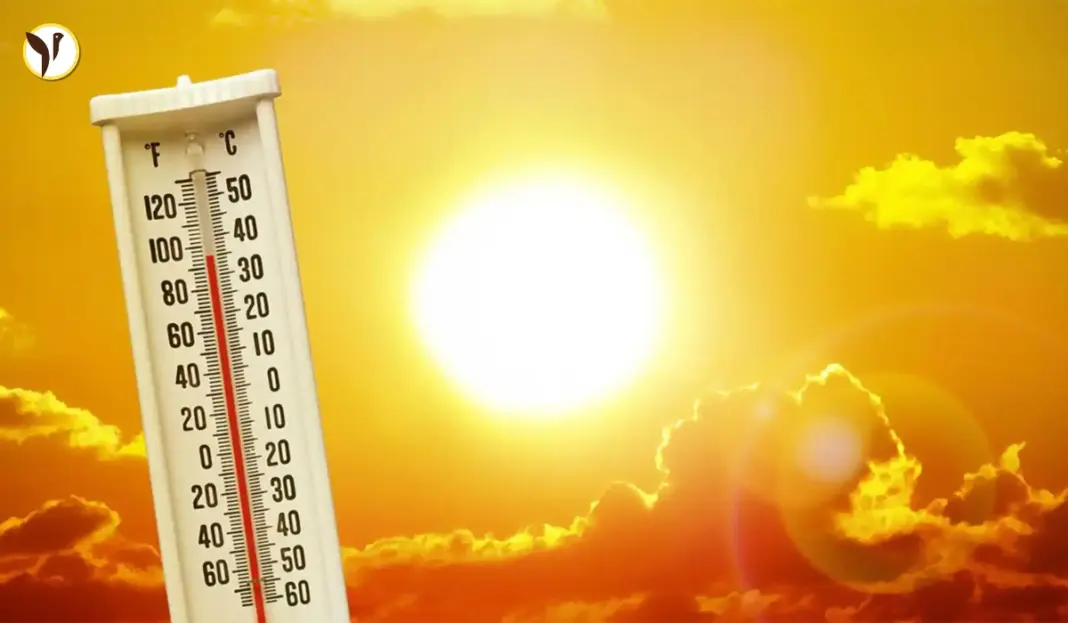 India Braces for Hotter Summer with More Heatwaves