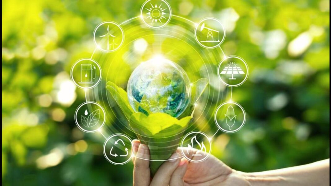 Indias Power Sector Gears Up for Carbon Neutrality