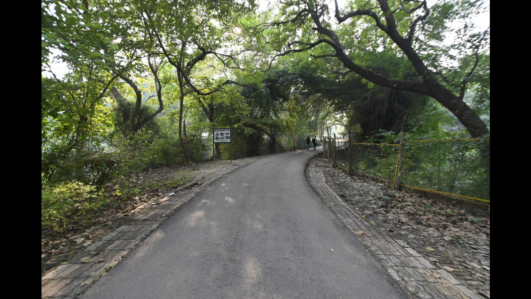 Kukrail forest struggles as urbanisation takes toll