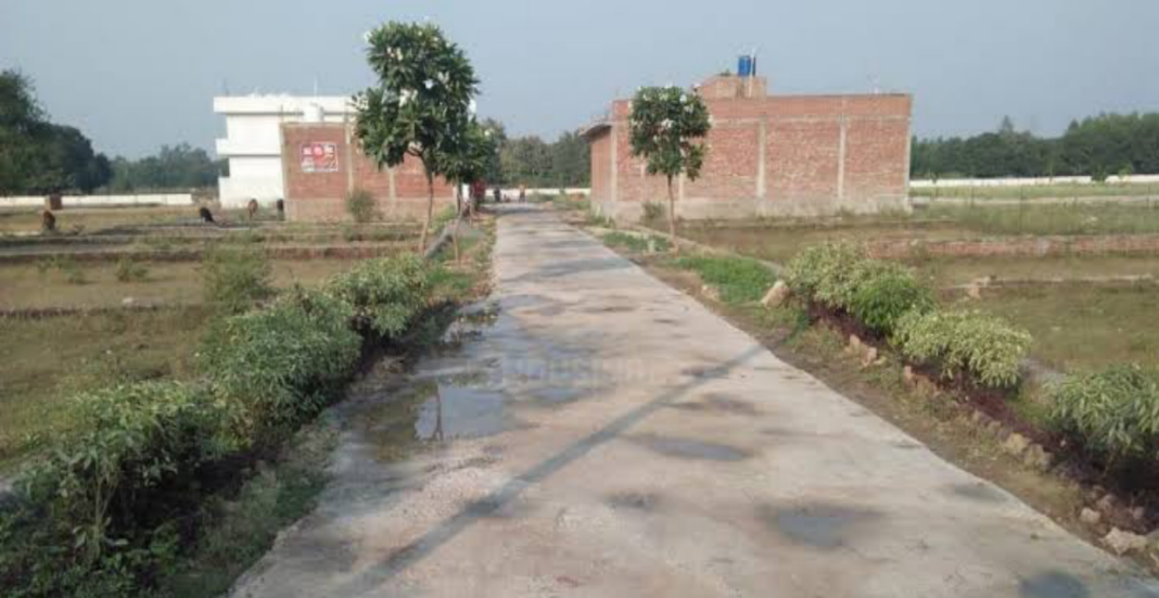 Lucknow plots plant-powered cooling zones