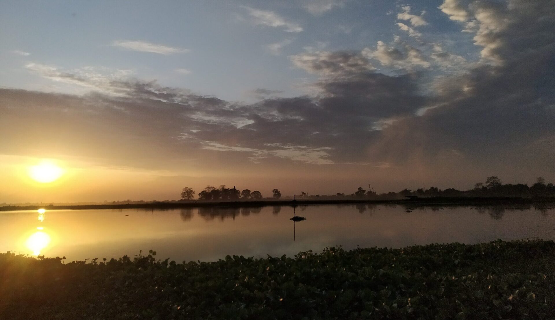 Majuli begins forest drive to fight erosion and boost climate resilience