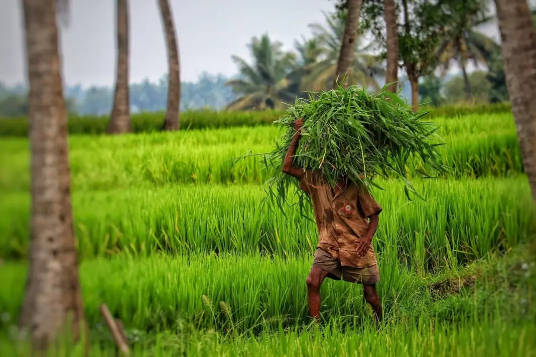 UP farmers to be resettled in planned township