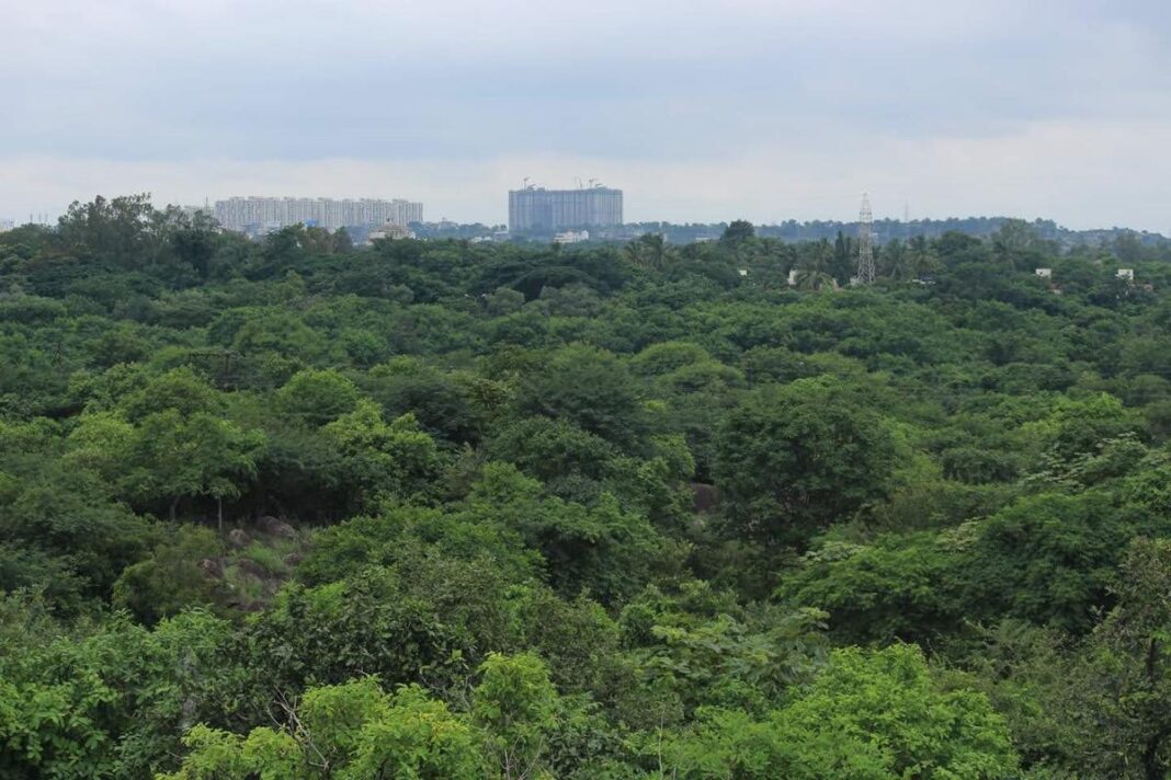 Telangana High Court to Review PILs on Gachibowli Land Clearing