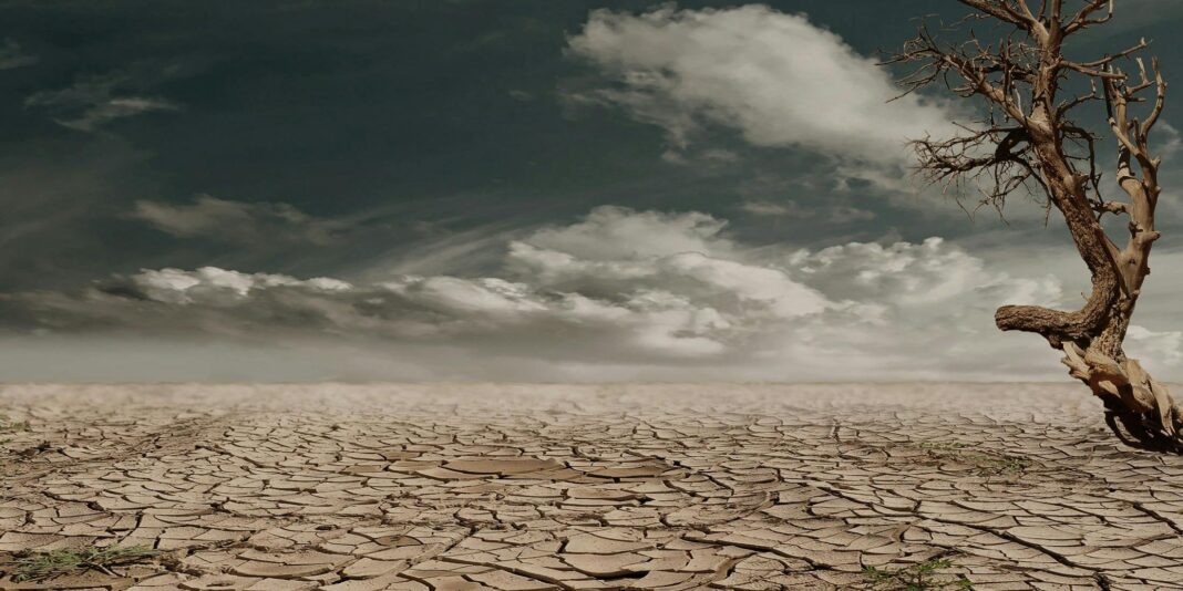 Water crisis looms under carbon credit schemes
