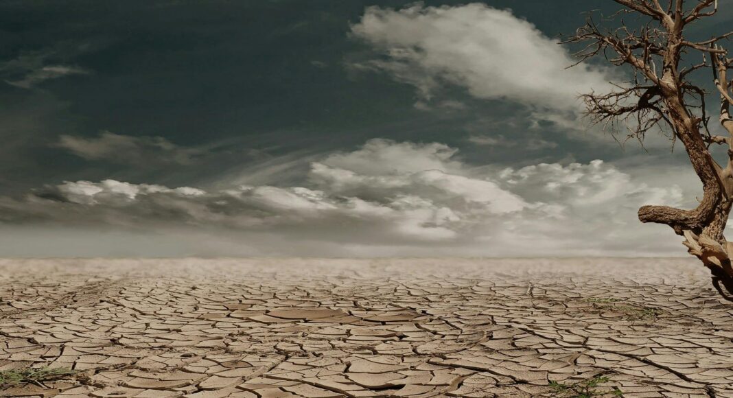 Water crisis looms under carbon credit schemes