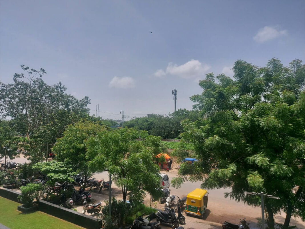 Ahmedabad Plants 83 Lakh Trees in Five Years