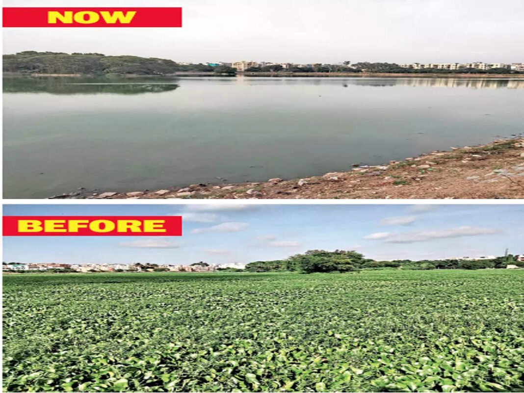 BBMP Cleans Vibhutipura Lake After Sewage Delays Restoration Plans