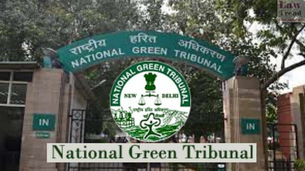 NGT Orders Action Against Illegal Constructions