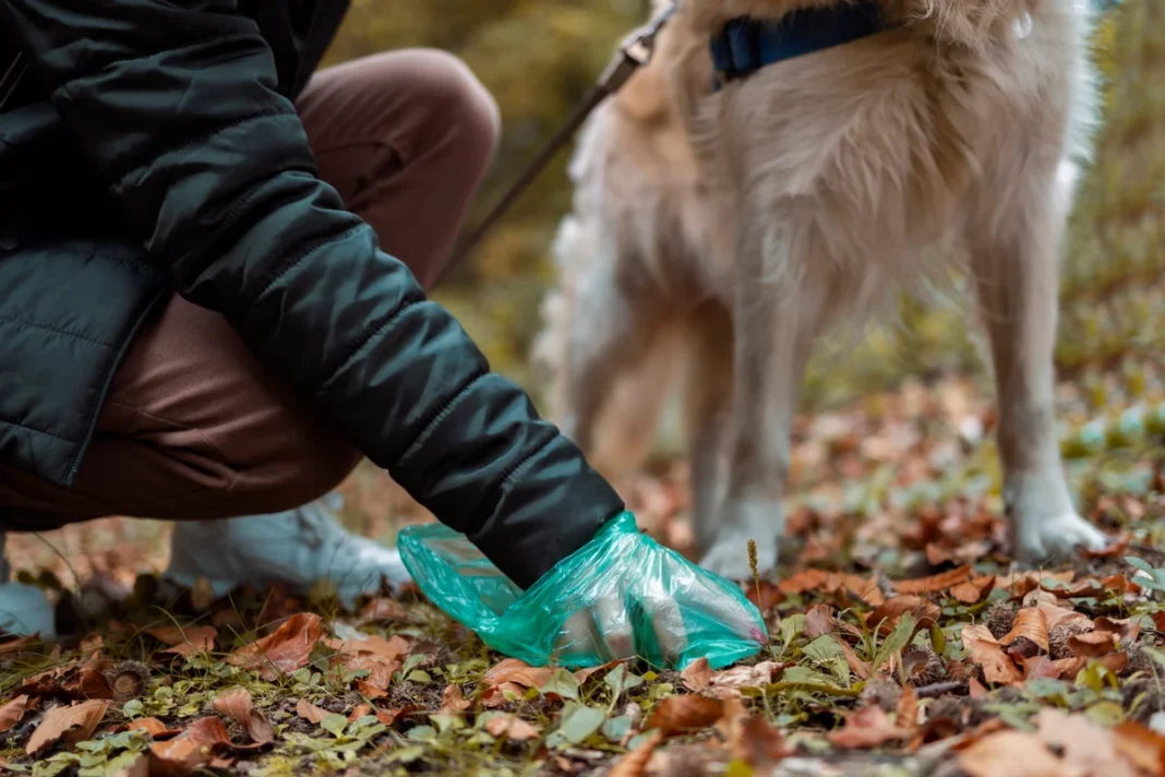 Mumbai BMC Launches Pet Waste and E-Waste Collection Services