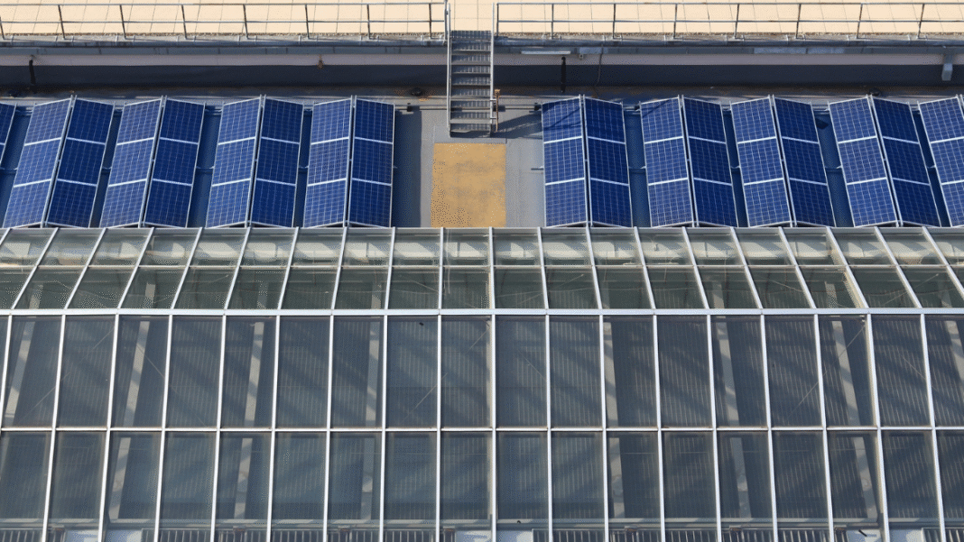  Cebu Steel Plants Power Ahead with Green Energy
