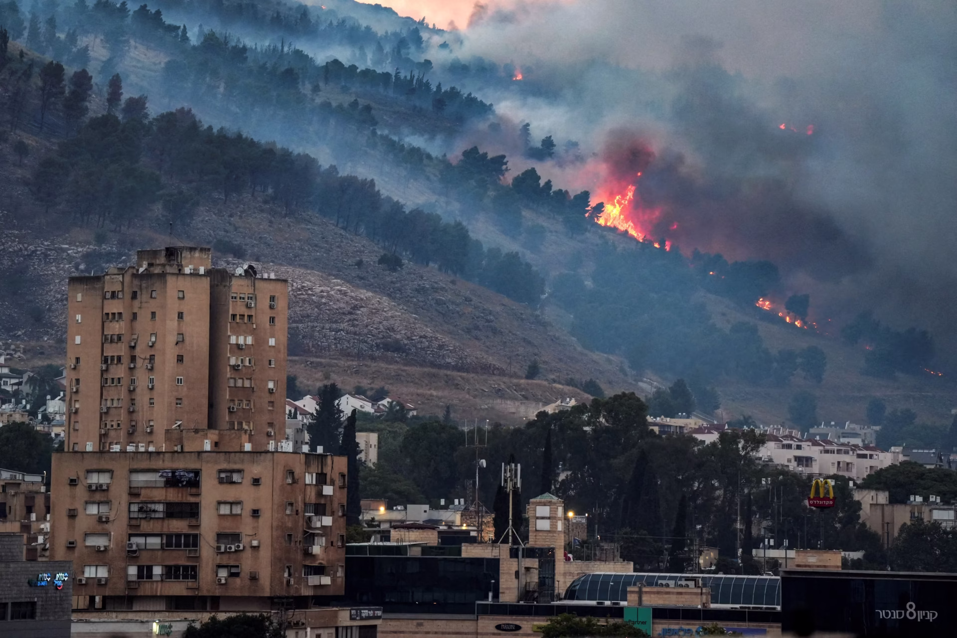 Wildfires Expose Gaps in Road Sustainability in Israel