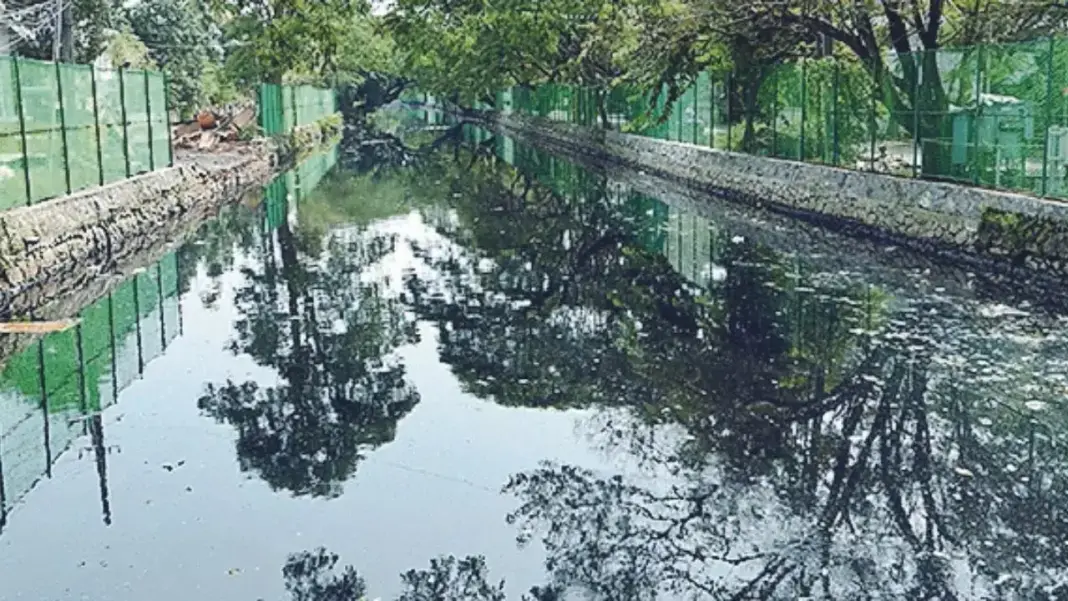 Kochi Embarks on Canal Revival Plan