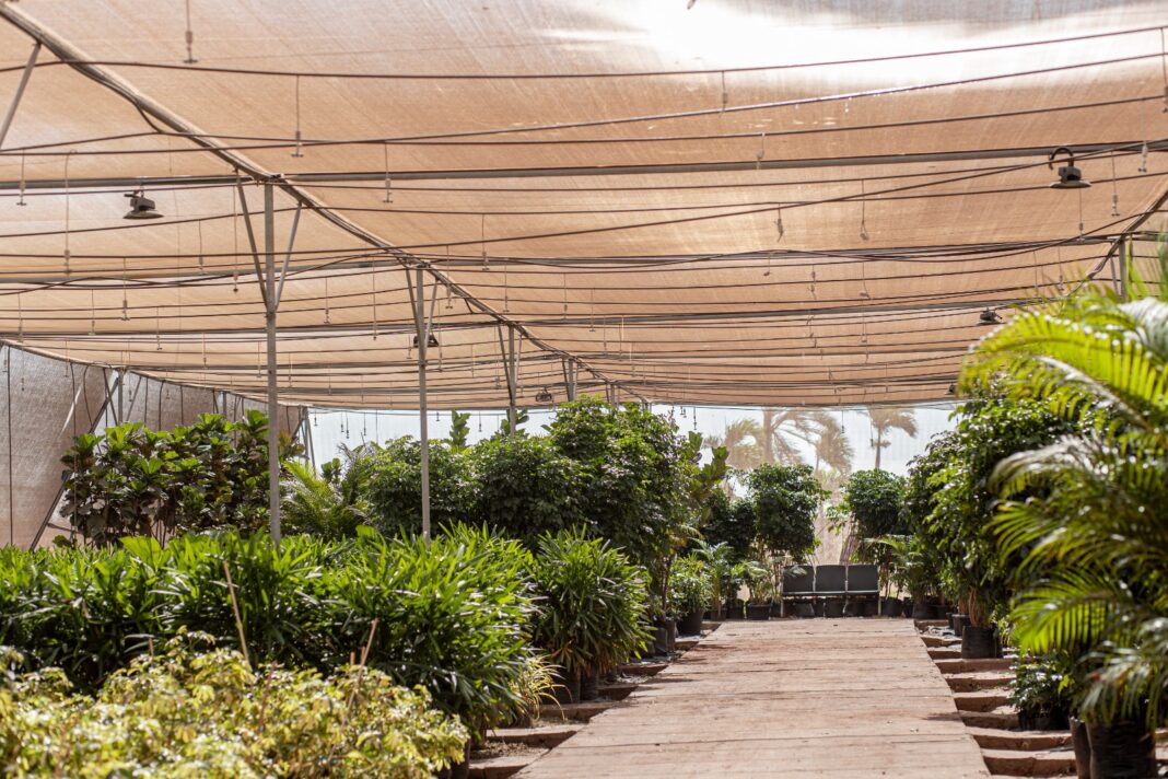 Ahmedabad Airport Adopts Smart Irrigation Technology to Save Water
