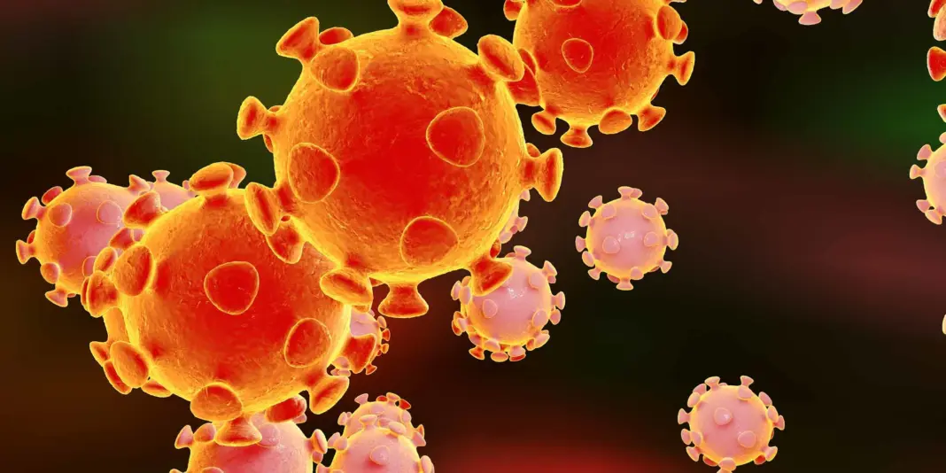 BMC Boosts Virus Tracking For Urban Health