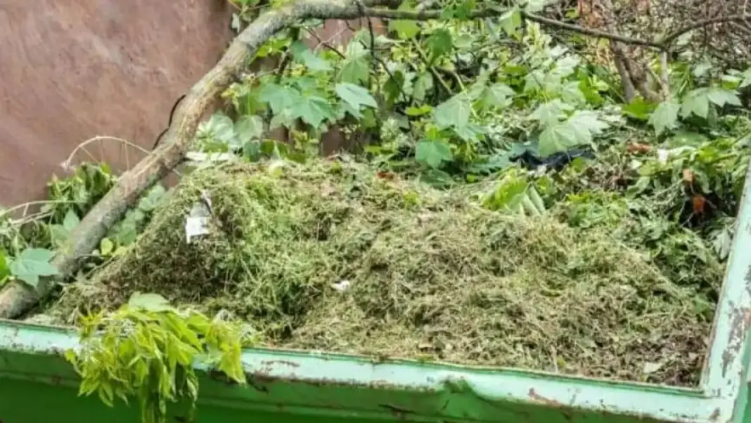 Bhubaneswar City Plans Biogas Plant for Green Waste