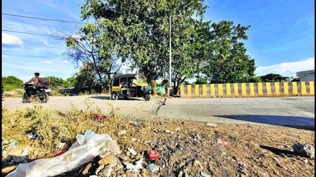 Environmental Concerns Lead to Suspension of Pune Road Project