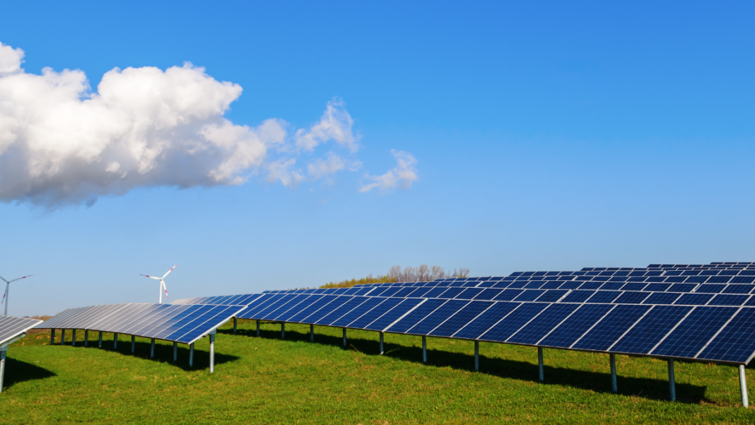 Green Energy Powers Assam Agriculture