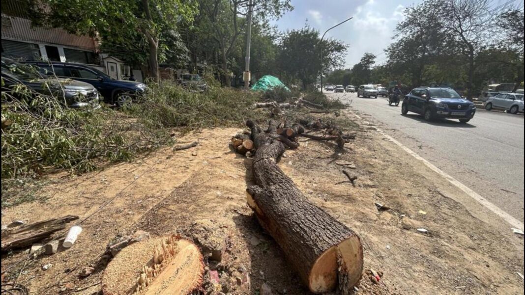 Gurgaon to Cut 344 Trees for Road Expansion Project Plan