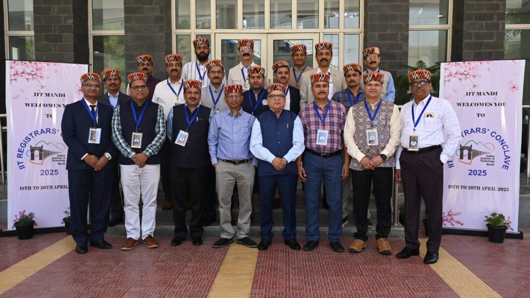 Mandi Becomes a Centre for Growth