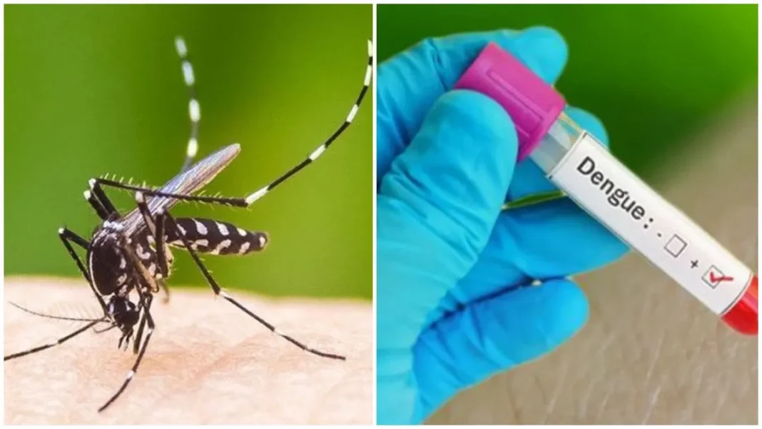 Delhi Plans Tougher Dengue Rules