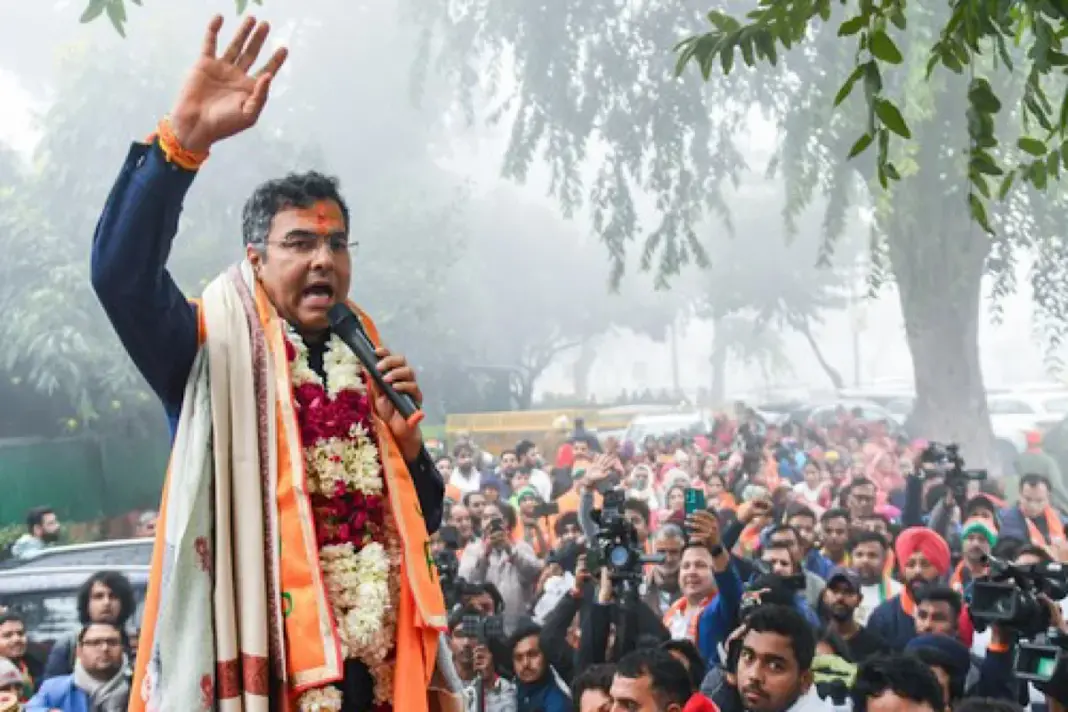 Delhi Village to Get Cow Shelter and Om-Shaped School