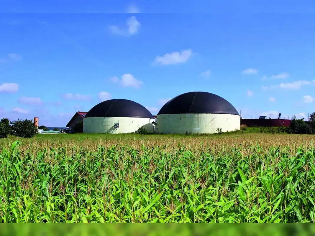 India Raises Biogas Price to Help Farmers Go Green
