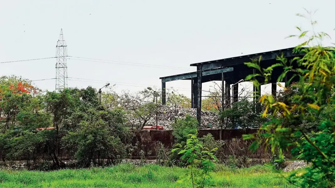 Vikhroli residents oppose BMC move on mangrove restoration