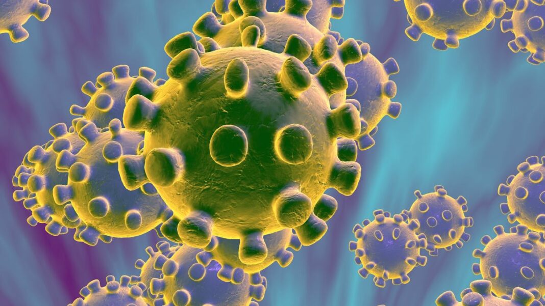 Maharshtra and Pune Reports New COVID-19 Cases