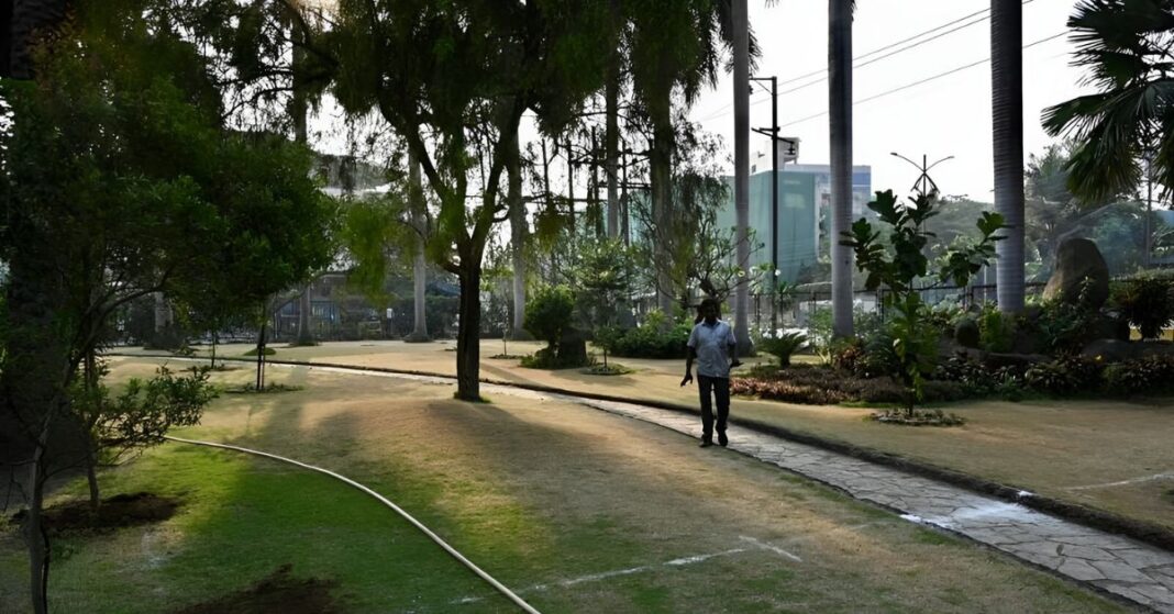 Mumbai Turns Barren Land into 3.5 Acre Urban Forest
