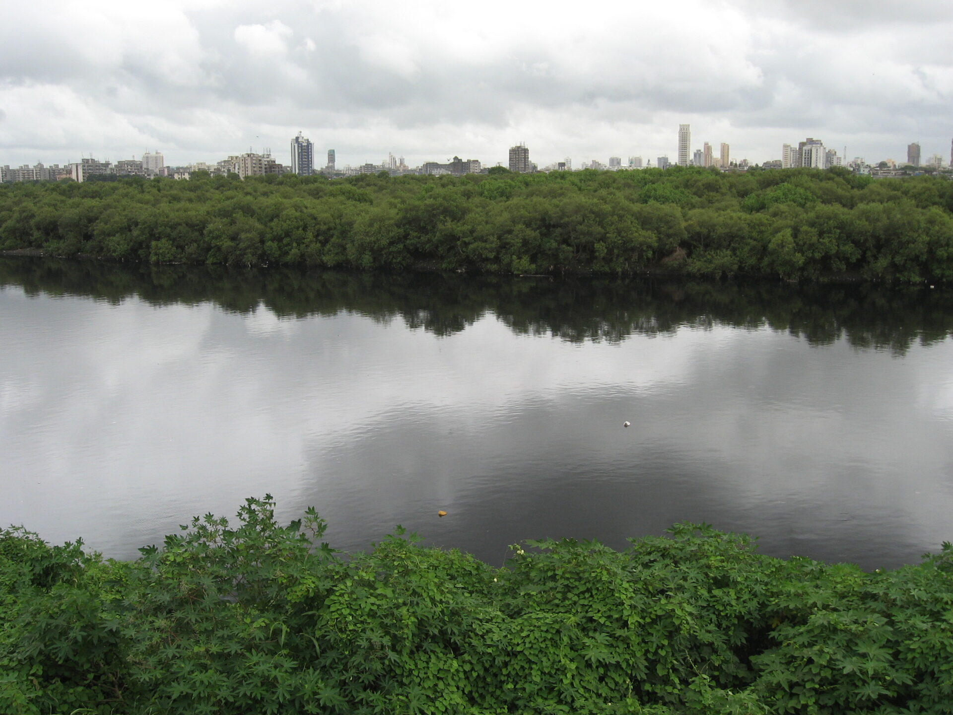 Mithi River Desilting Scam Exposes BMC's Oversight