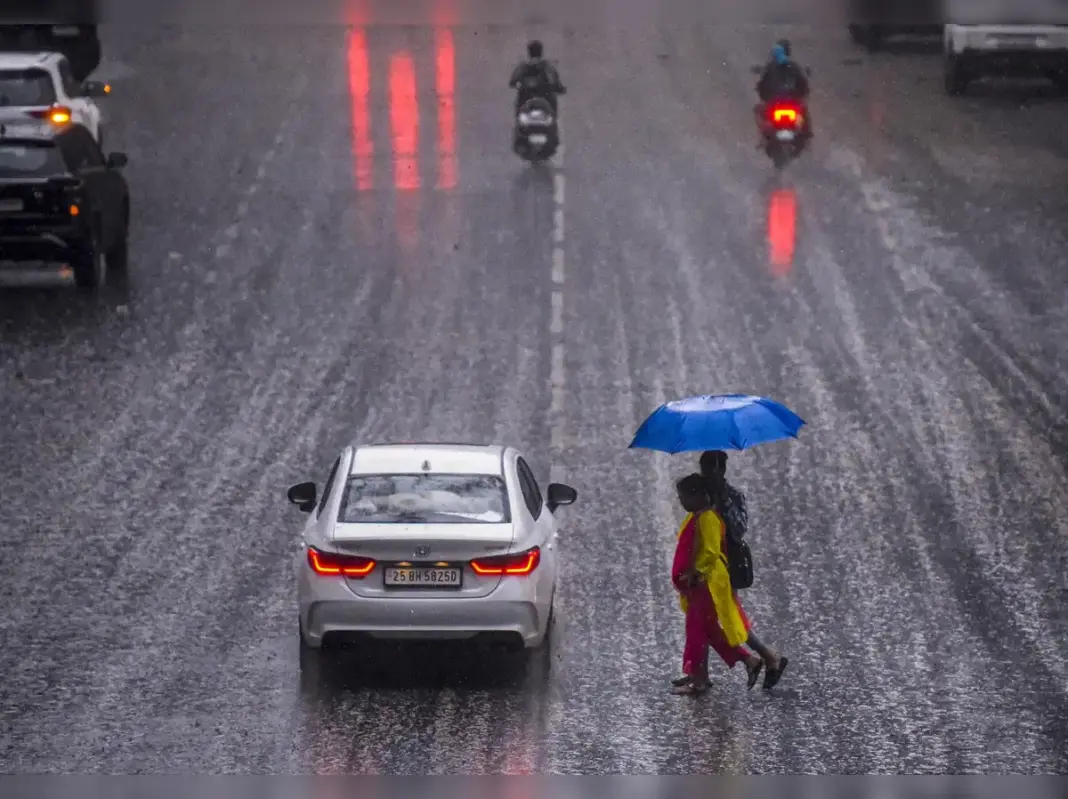 Kad Nagar Faces Disruption After Monsoon Downpour