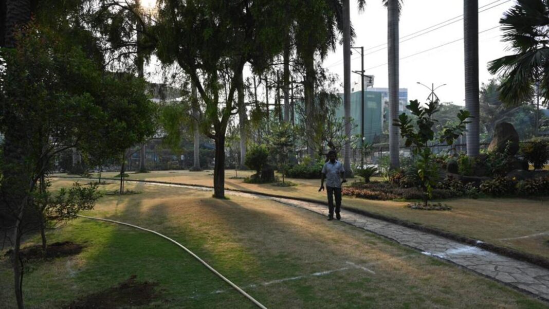 Mumbai Industrial Plot Becomes Green Oasis