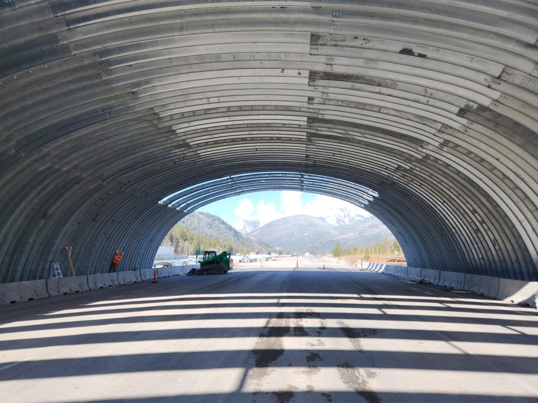 Roads with Heart Tunnels Save Animals