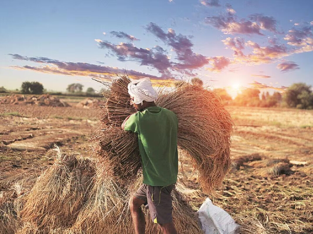 Rural Reforms Gain Momentum in Chhattisgarh
