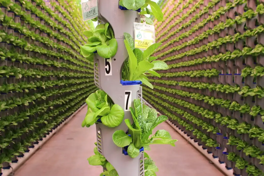 Illinois University Launches High Tech Vertical Farm