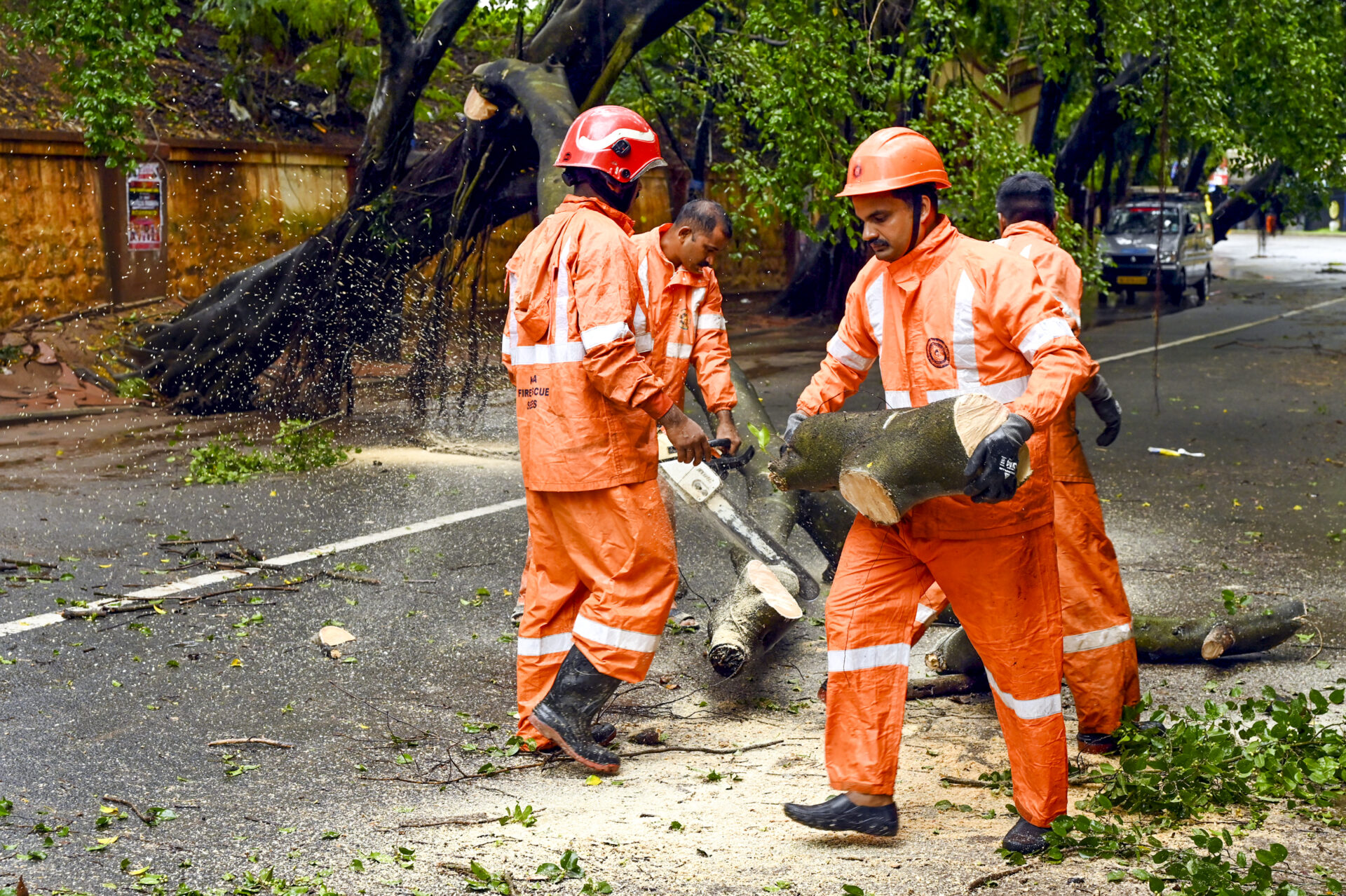 Strong winds in Kochi uproot trees across many areas