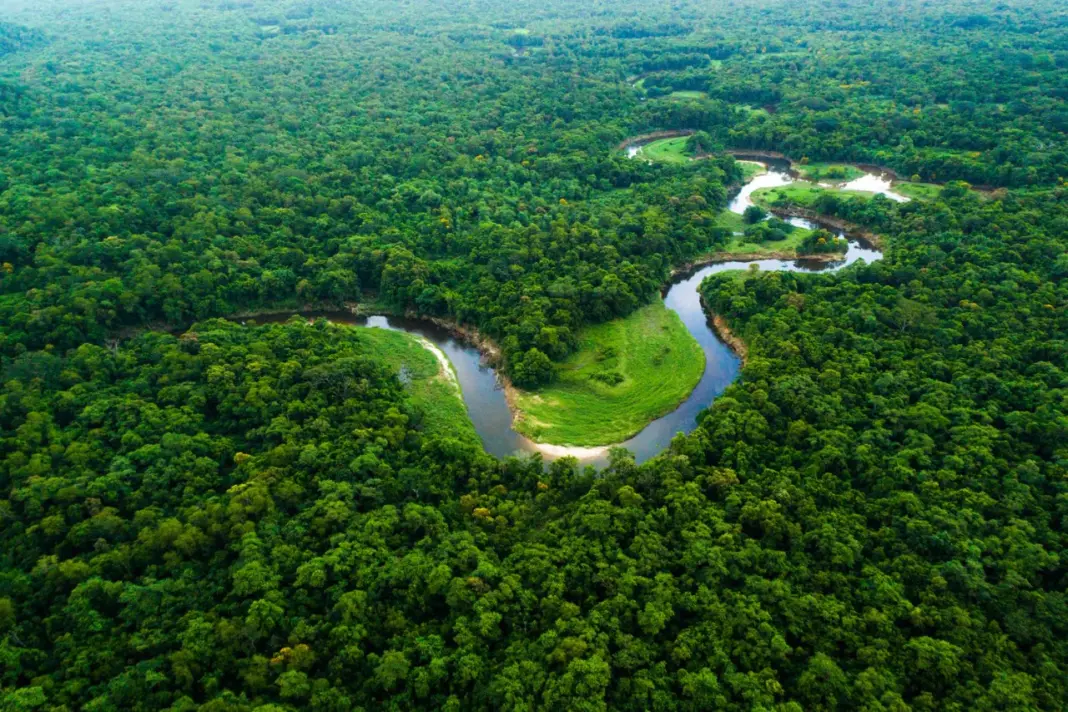 Uttar Pradesh Mini Forests Tackle Urban Heat Island Effect