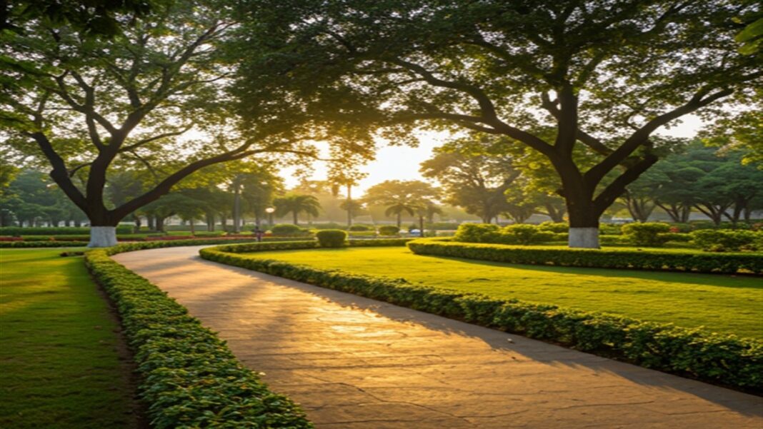 Ahmedabad To Get Sindur Van Oxygen Park With 12000 Trees