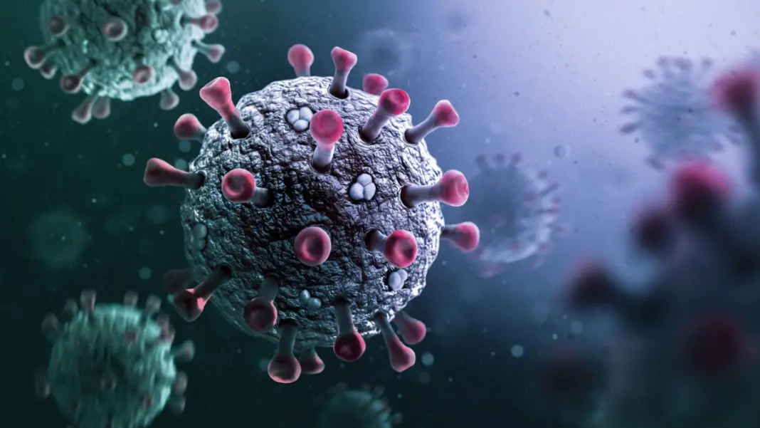 257 Active COVID Cases Reported in India as New Variant Spread