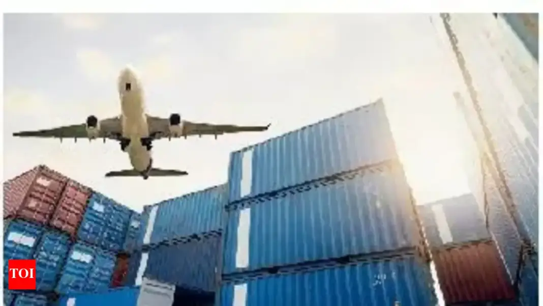 Mumbai airport defends cargo flight changes