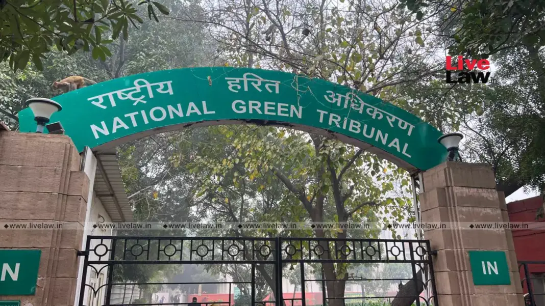 NGT Seeks Action on Eco Rule Violations