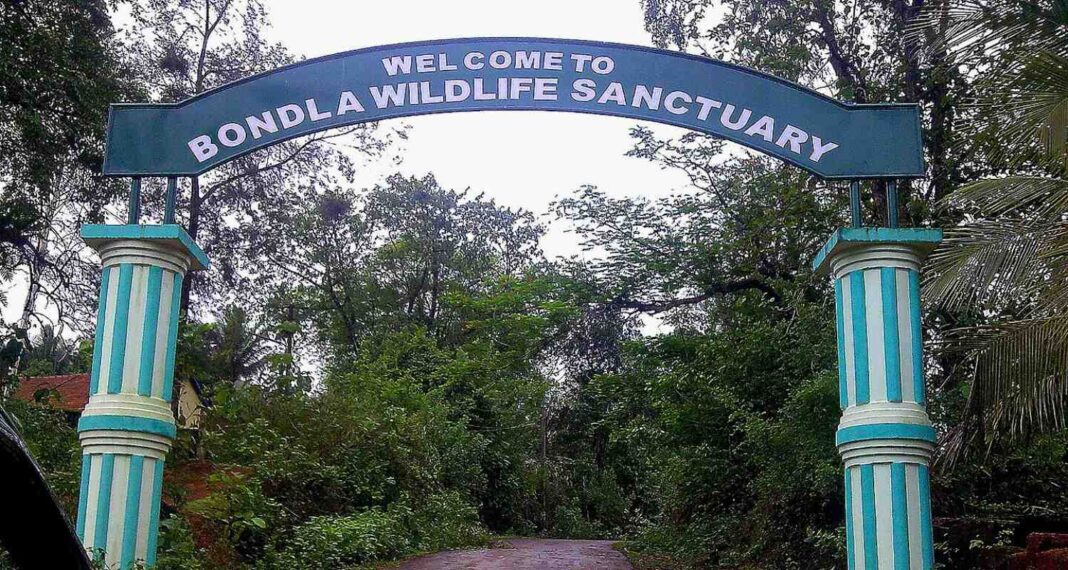 Goa Bondla zoo back open after three-month closure