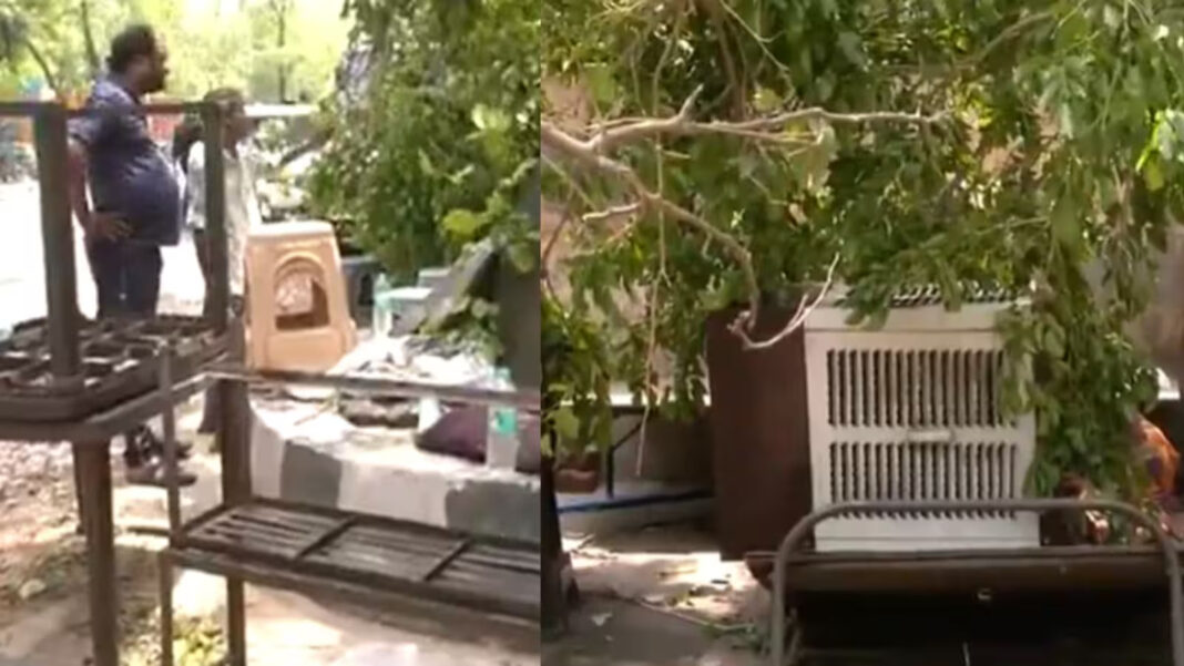 Delhi Electrocution Incident Claims Two Lives and Dog in RK Puram