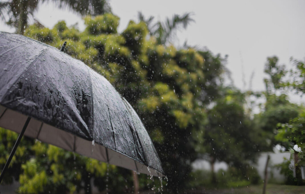 Delhi Welcomes Early Monsoon as Rain Covers All of India