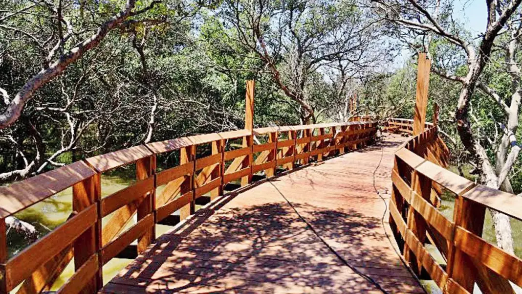 Mumbai Gorai to Welcome India First Mangrove Park by August