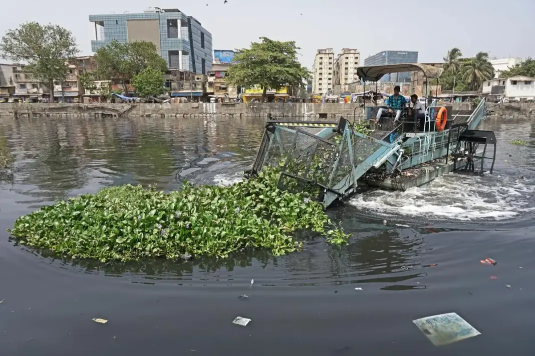 Mumbai’s Mithi River Drowns in Sewage and Corruption