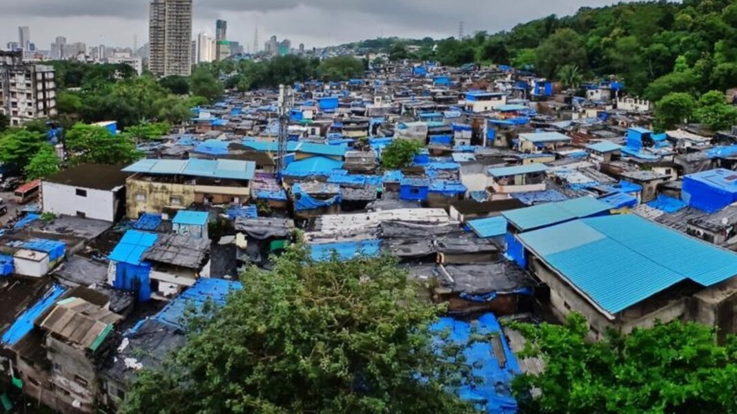 Mumbai Locals Slam BMC Over Grass Cover Plan