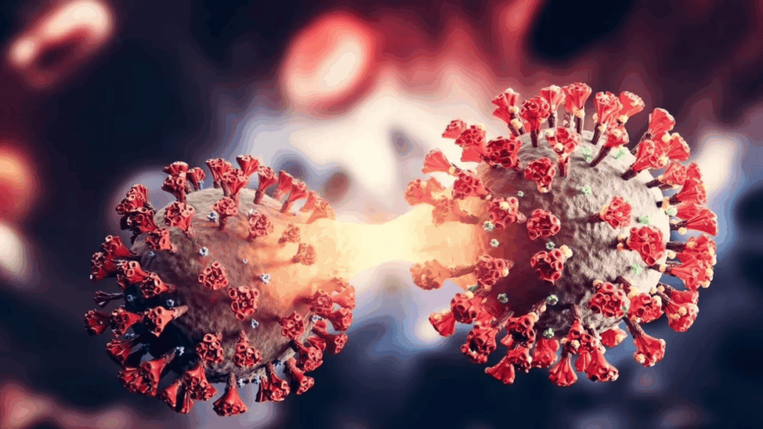 Mumbai Records Fifty Three New Covid Infections